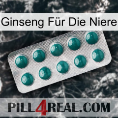 Ginseng Für Die Niere dapoxetine1